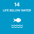 Life Below Water